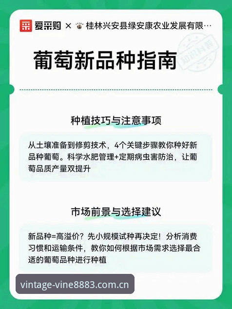 纯净线上娱乐空间 新葡萄体育平台纯净体验完整指南:从下载到畅玩的安心之旅