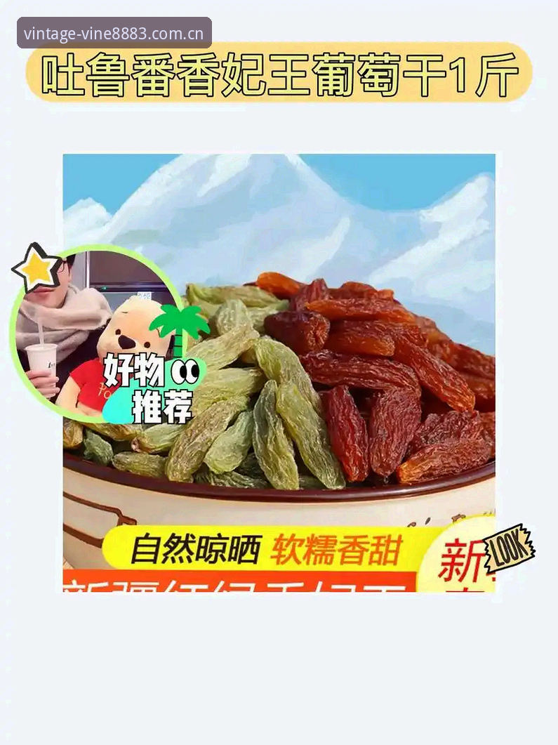 老版新葡萄平台特色 新葡萄体育平台实用指南:老版新葡萄平台特色深度解析与操作技巧