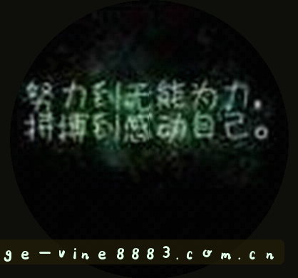 赵哥
